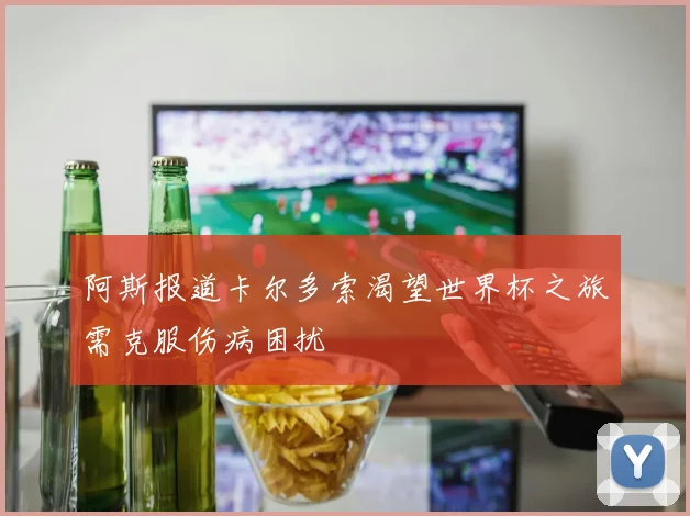 阿斯报道卡尔多索渴望世界杯之旅需克服伤病困扰