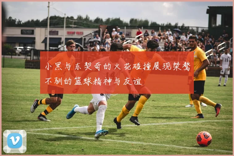 小黑与东契奇的火花碰撞展现桀骜不驯的篮球精神与友谊