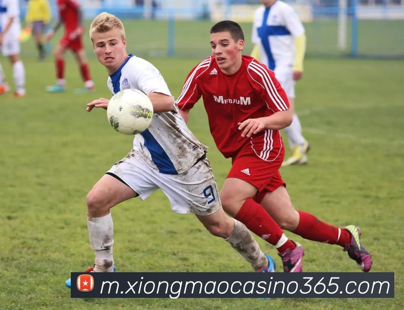 多媒体互动体验