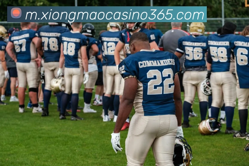 熊猫真人娱乐APP 高清赛事图